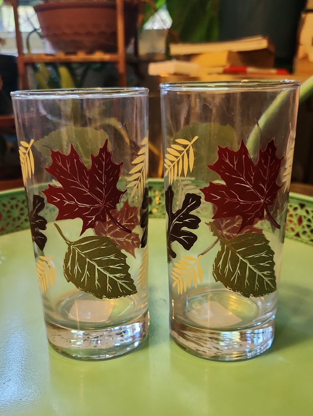 Vintage Libbey Fall Leaves Pattern Tumblers Drinking Glasses NOS Mcm Autumn